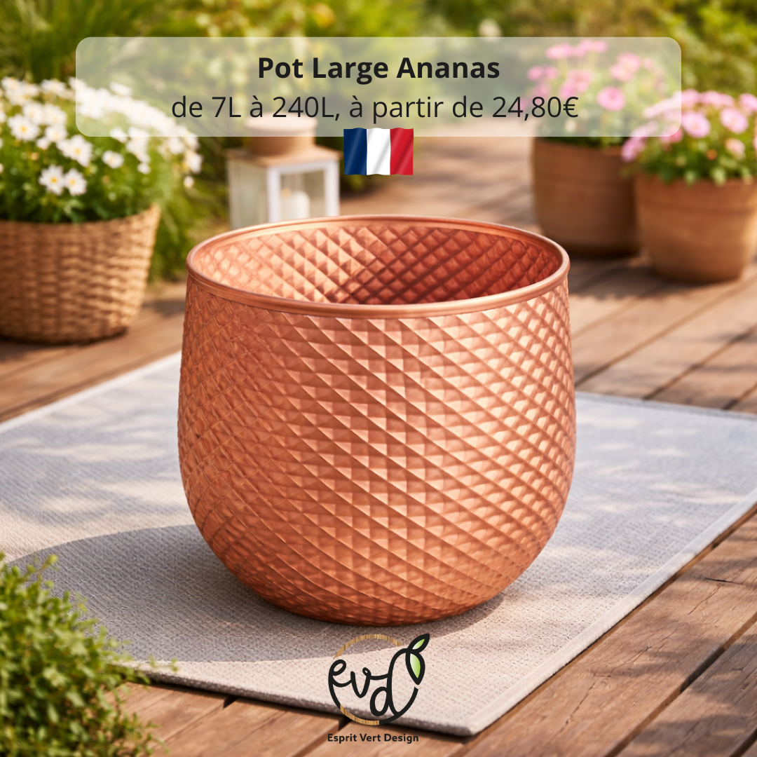 Pot Large Ananas