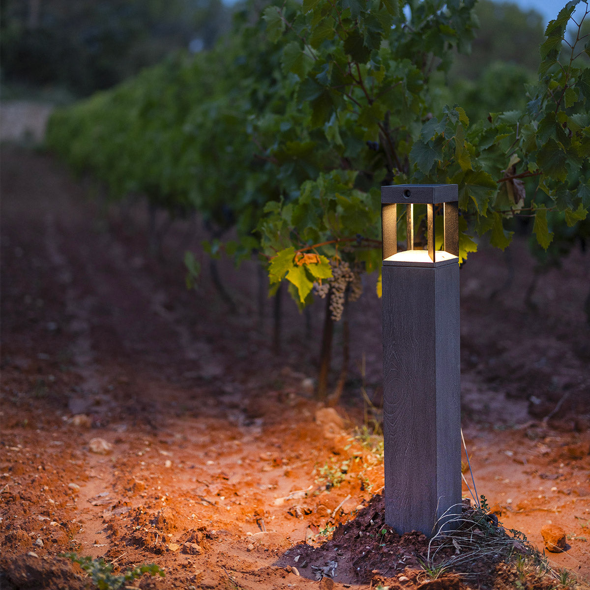 Borne solaire jardin teckalu 90cm